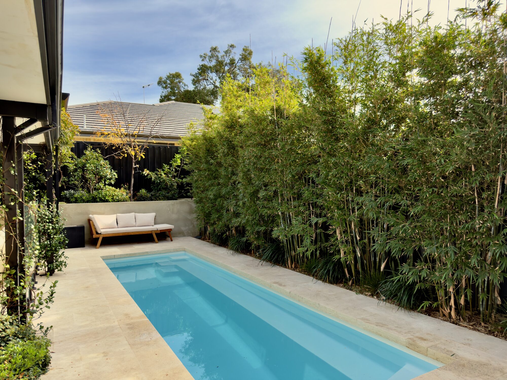 Rendered lap pool with bamboo screening and travertine paving, Coolbellup